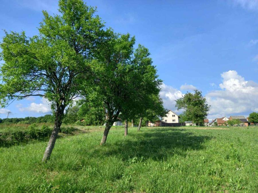 Kuca Za Odmor Holiday House Akord, Marindvor Pozega Bagian luar foto